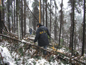 华润电力湖南公司500kV输电线路08年1-2月冰雪灾损失案